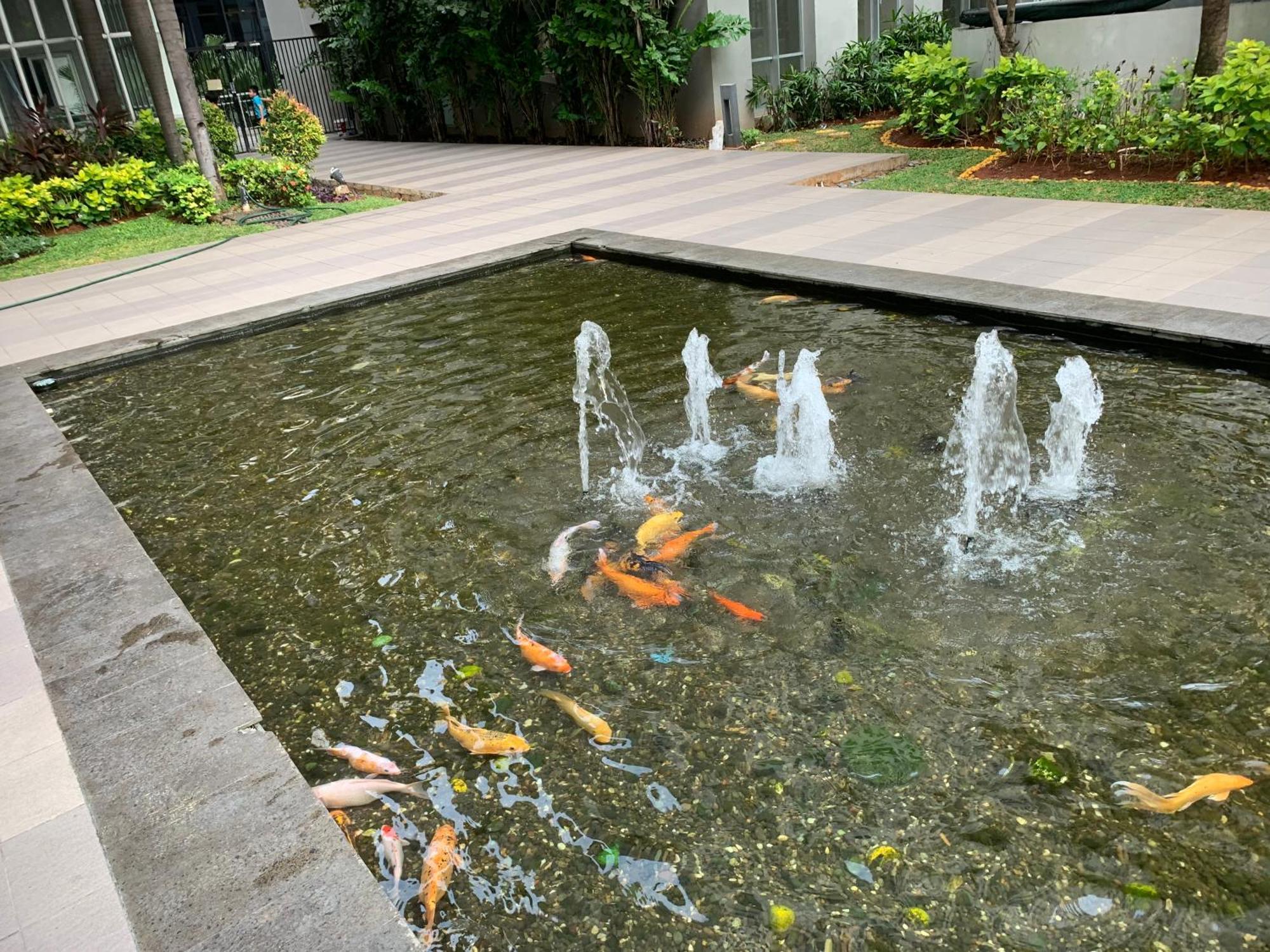Cozy 2br With Direct Access To Baywalk Mall At Bay Pluit Tower H *